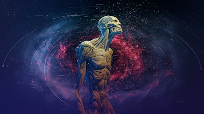 Steckenwesen: Geheimnisse interstellarer Portale