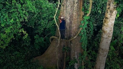 Biognosis: Bridges to Ancestral Wisdom