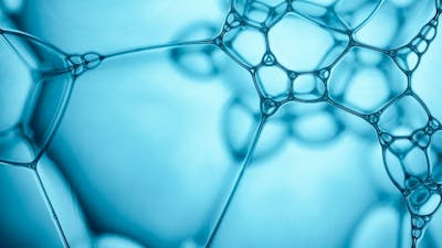 Stephen Lewis on the AIM Program (Part 2)