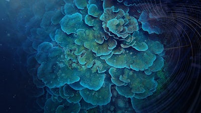 BioGeometría y el clima