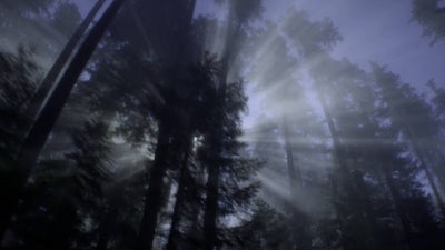 Franciscan Blessing: Receiving Grace with Father Maximilian Mizzi