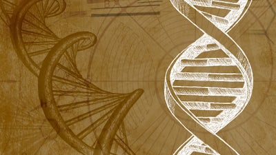 Ermächtigte Genetik