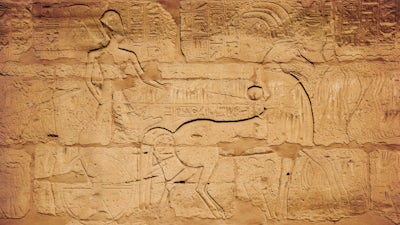 Paso 3: El peligro de la forma