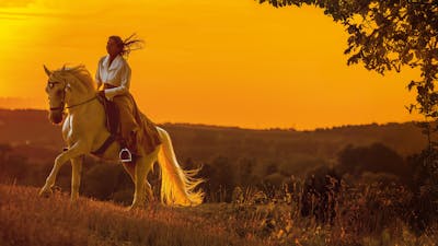 My Magical Journey - Ein modernes Märchen