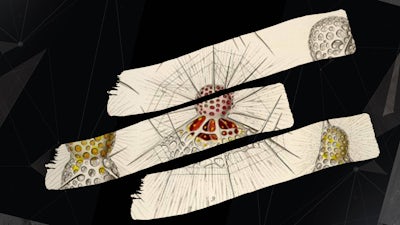 Morphic Fields: From Consciousness to Material Sciences with Rupert Sheldrake