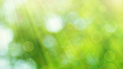 James Barrett on The Silent Gospel