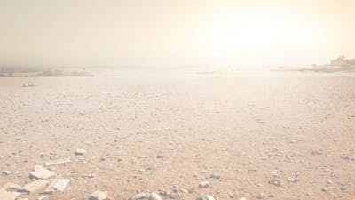 Phoenix Whole Life Expo – 1st Hour