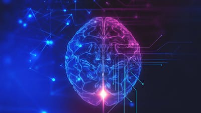 Making the Most of Your Mind with Neil Slade