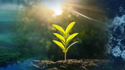 Le ventre : une odyssée de la vie