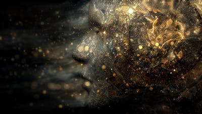 Why Environment Matters More Than Motivation