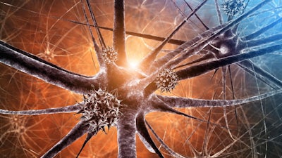 Secrets of NLP with Tom Dotz