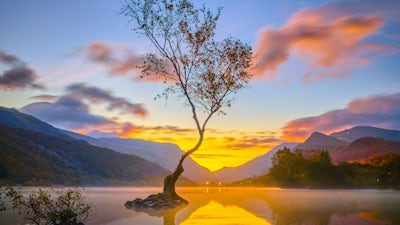 Conversation with Breath