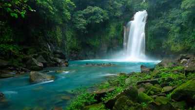 Awaken Natural Healing: Audio Meditation