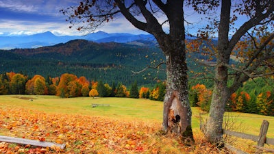 Spiritwalker and Medicinemaker (Dr. Hank Wesselman) – Part 2