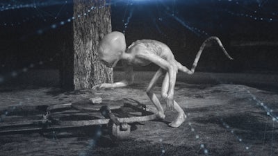 Experiencias frente a una criatura desconocida