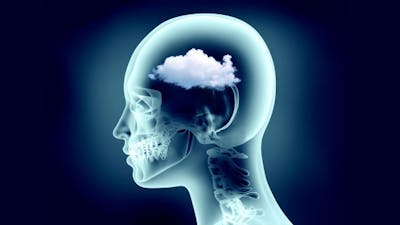 James DeMeo on Orgone Energy