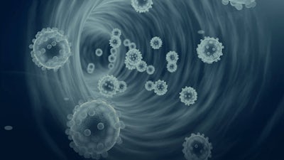 The Auto-Immune Answer with Mee Tracy McCormick