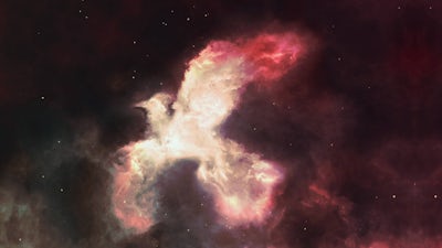 Revelación y ascensión, con David Wilcock