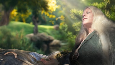 Die Druiden – Mächtige Priester der Kelten