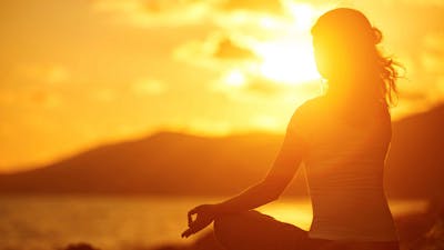Neil Kramer on The Higher Self