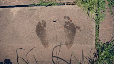 Carol Bowman on Children’s Past Lives