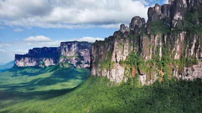 Despierta tus sentidos 