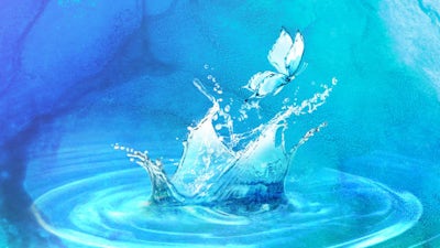 Emersion Conference Insights