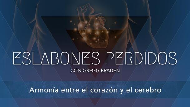 Armonía entre el corazón y el cerebro