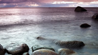 Alex Grey on The Art of Humanity