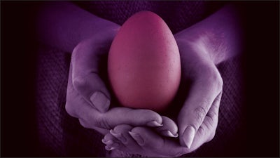 The Untold Story of Humanity with Paul Von Ward