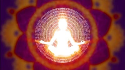 The Limbs of Yoga
