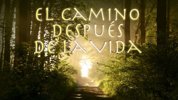 El Camino Después de la Vida
