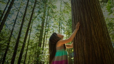 Mente de principiante - práctica informal