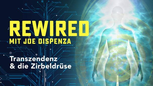 Transzendenz & die Zirbeldrüse
