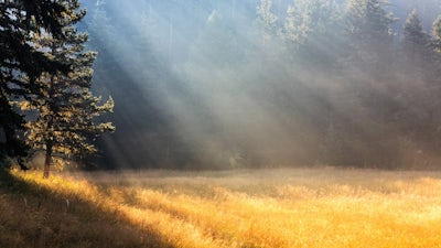 Meditación de relajación