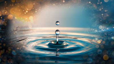 Les pouvoirs de l’eau morphogénique