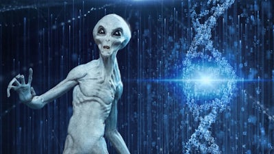 La Verdadera Historia de Jonathan Reed (2a parte)