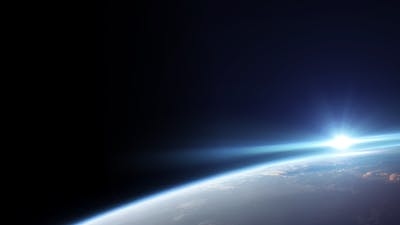 The Consciousness Connection