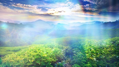 Ariel : Surhumanité incarnée