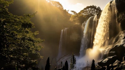 Purpose - Meditation 