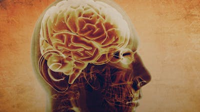 Activate Your Higher Brain with Michael Cotton