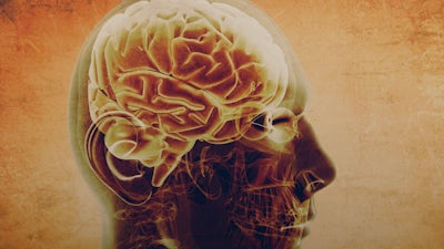 Activate Your Higher Brain with Michael Cotton