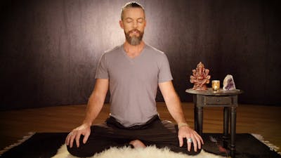 The Wisdom Within