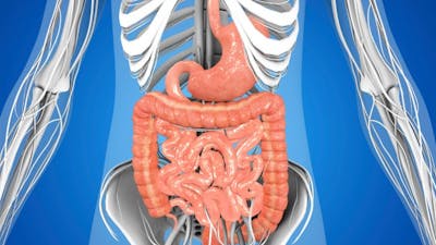 What's Up with Your Gut? with Edward Group