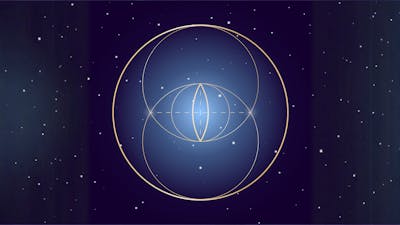 El despertar de las bioorganizaciones