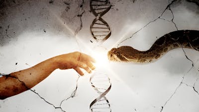 La liste sumérienne des rois et les serments Anunnaki