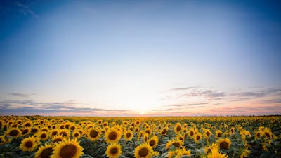 Anxiety and Depression