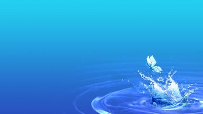 Emersion Conference Highlights