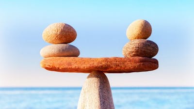 Living in Balance with Sujatha Reddy