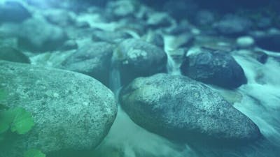 Experiencia sonora I I